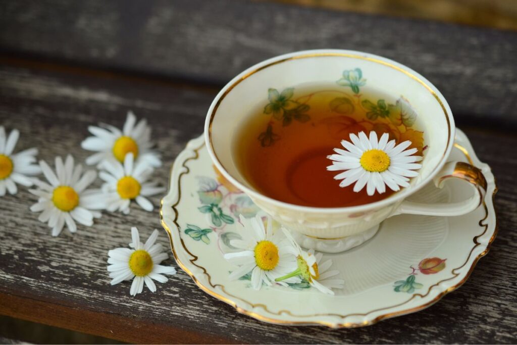 Selecionamos uma imagem simbólica para representar o ciclo dos chás, para poder escrever sobre o equilíbrio menstrual e a fertilidade. Na imagem, uma xícara de chá servida com chá de camomila, inclusive com uma flor dentro e flores de camomila espalhadas no pires e na mesa.