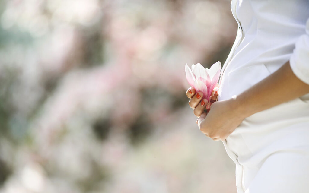 Selecionamos uma imagem simbólica para representar o que é o espaço online "Mamãe em Flor". Na imagem, no canto direito está posicionada lateralmente uma grávida, com o foco central em sua barriga, onde está segurando uma flor de magnólia rente a ela. O fundo está totalmente desfocado.